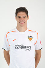 Nikola Zigic