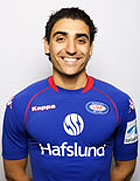 Mohammed Abdellaoue