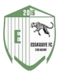 Essamaye logosu