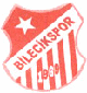 Bilecikspor