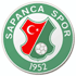 Sapancaspor